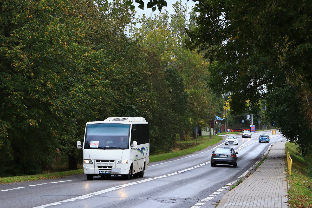 Iveco Daily 65C18 / ProBus Rapido 180 #ZKO 93W1