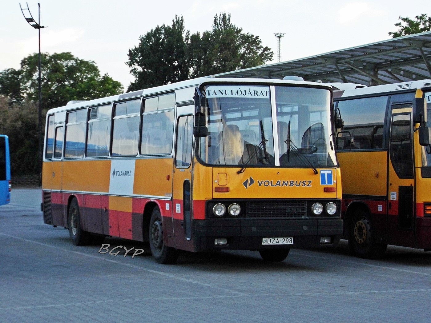 Ikarus 256.50 #DZA-298