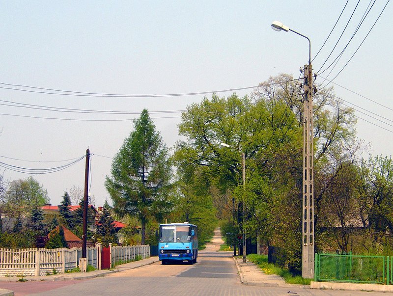 Ikarus 260.04 #62