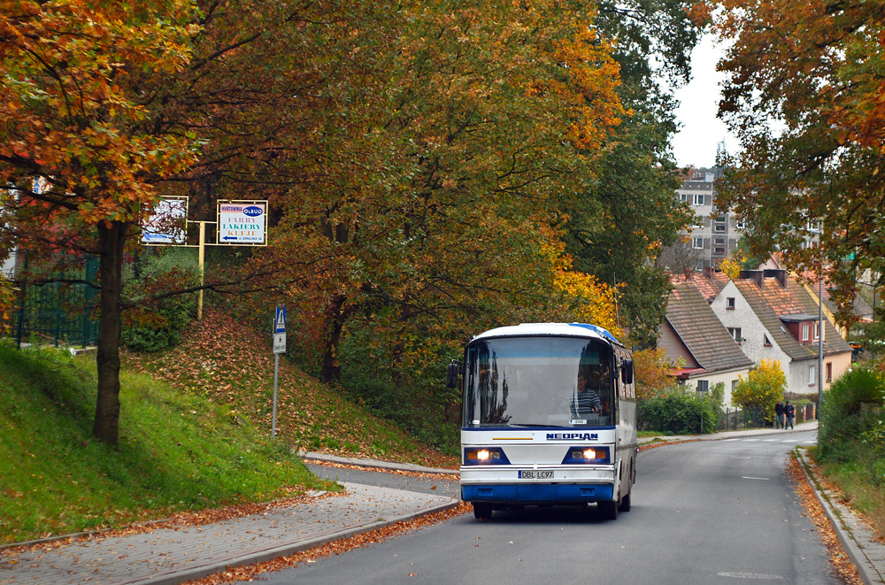 Neoplan N208 #DBL LC97