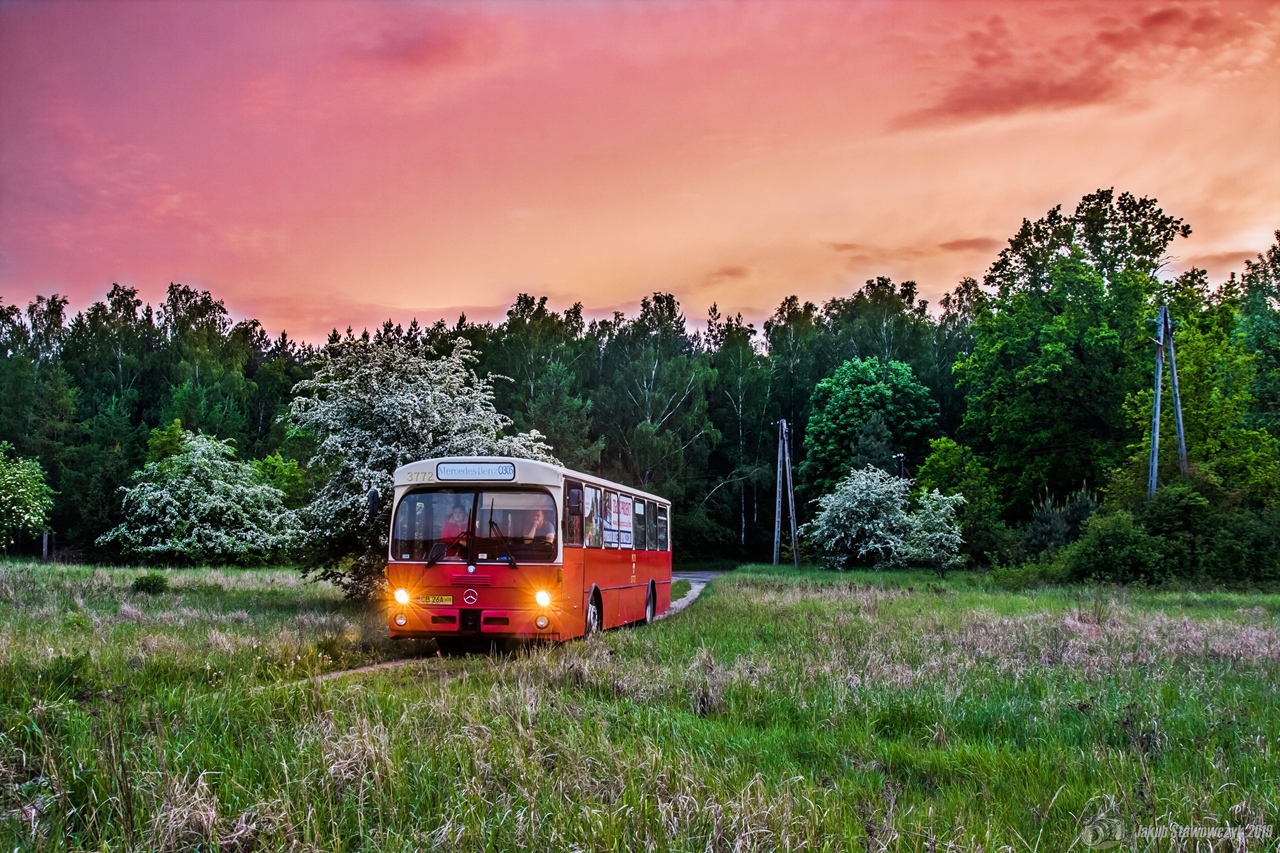 Mercedes-Benz O305 #3772