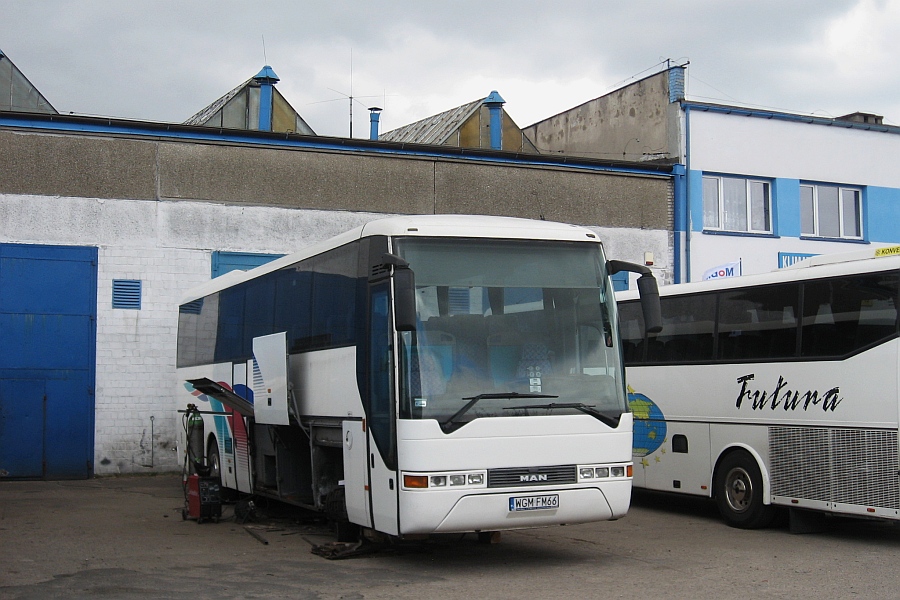 MAN RHxx3 Lion`s Coach (A13) #WGM FM66