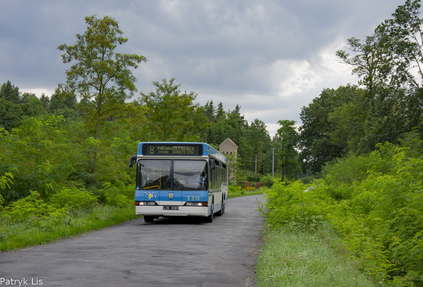 Neoplan N4020td #110