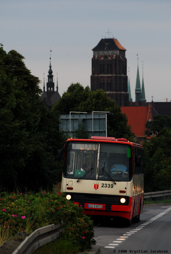 Ikarus 260.04 #2339