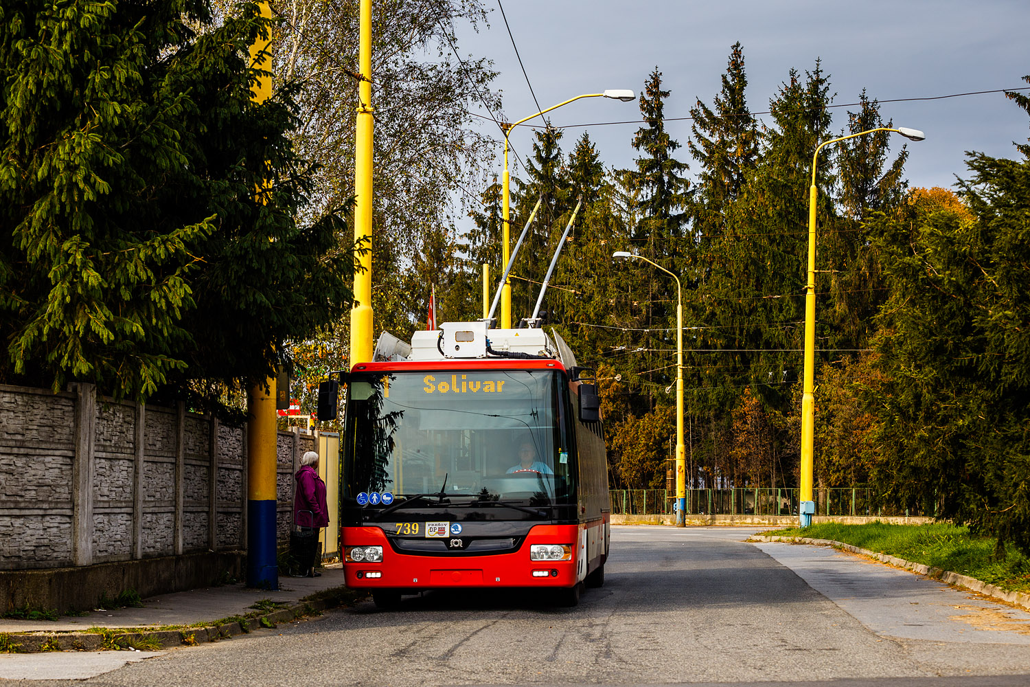 Škoda 30Tr SOR #739