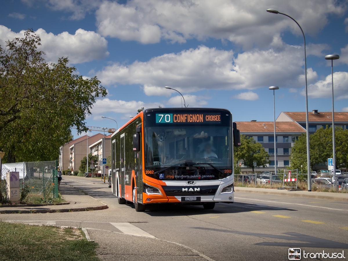 MAN NL330 Lion`s City 12 EfficientHybrid #2062