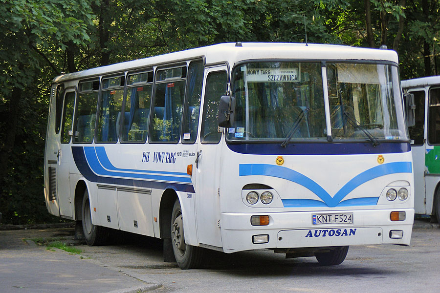 Autosan H9-21 #30901