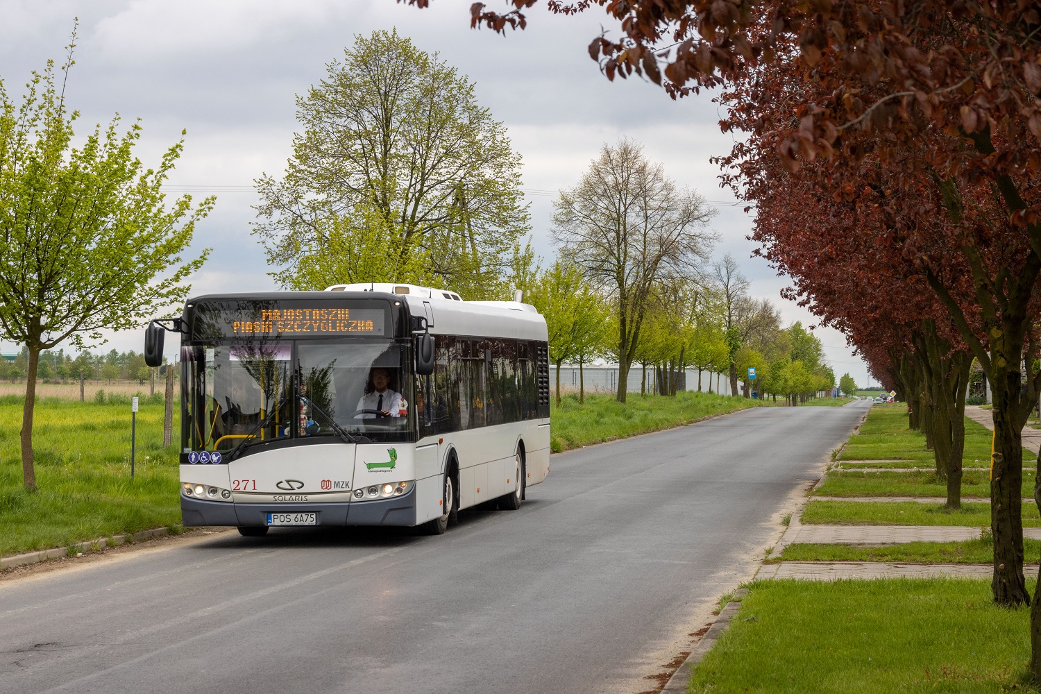 Solaris Urbino 12 W17 #271