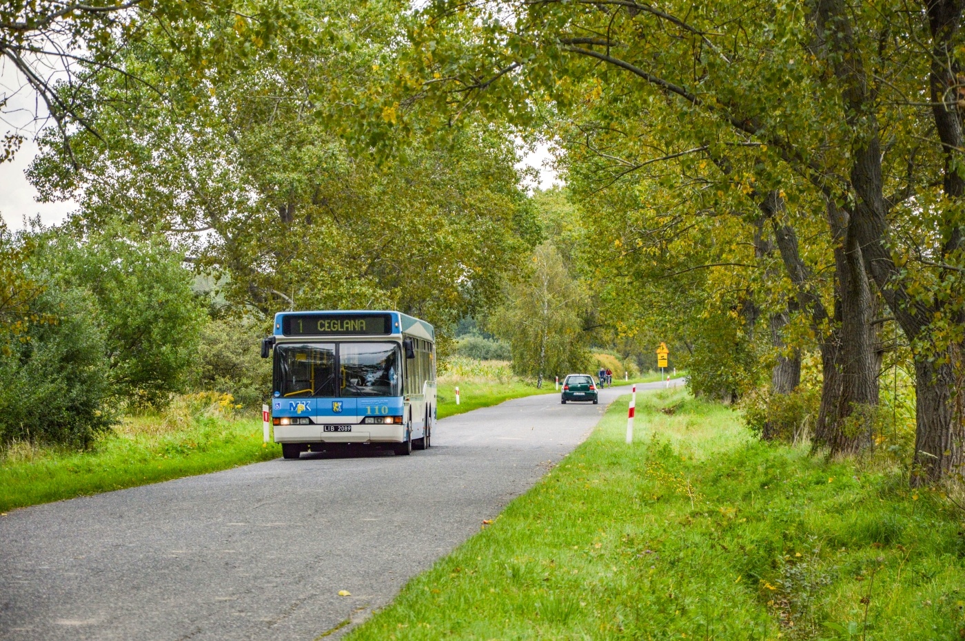 Neoplan N4020td #110