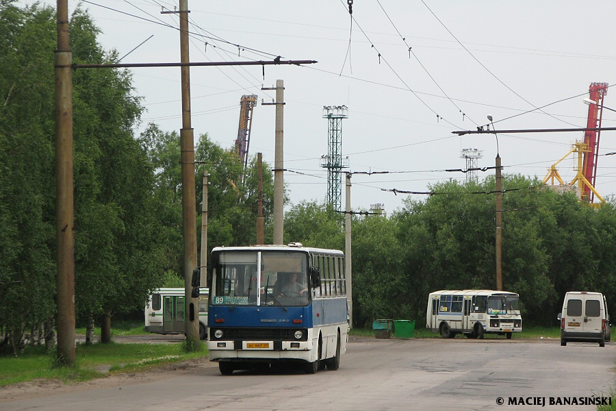 Ikarus 260.51 #АС 447 29