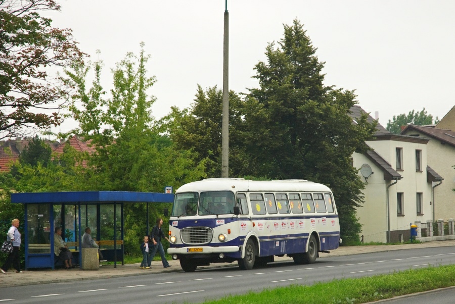 Jelcz 043 #8081