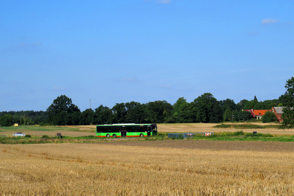 Neoplan N4420 #012