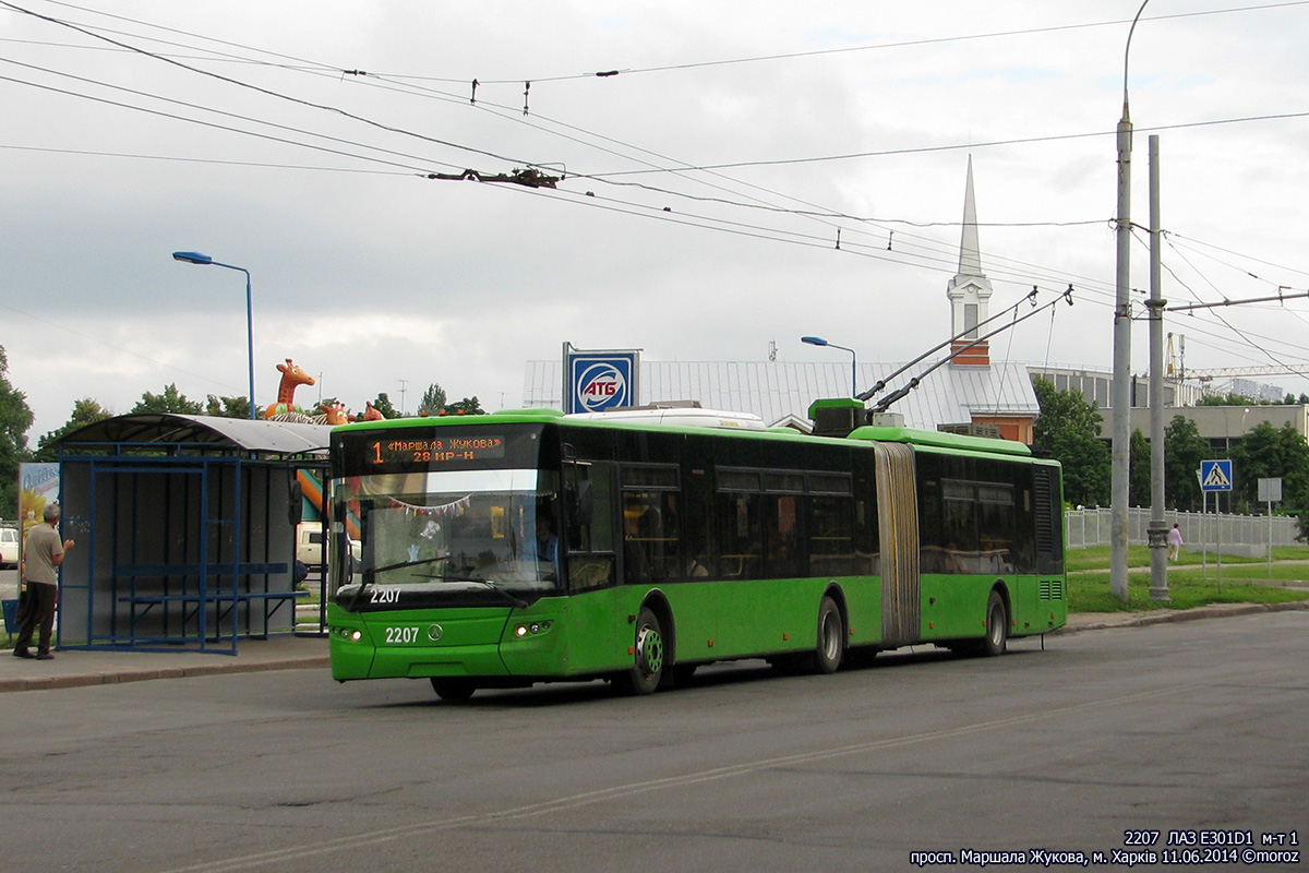 ЛАЗ E301D1 #2207