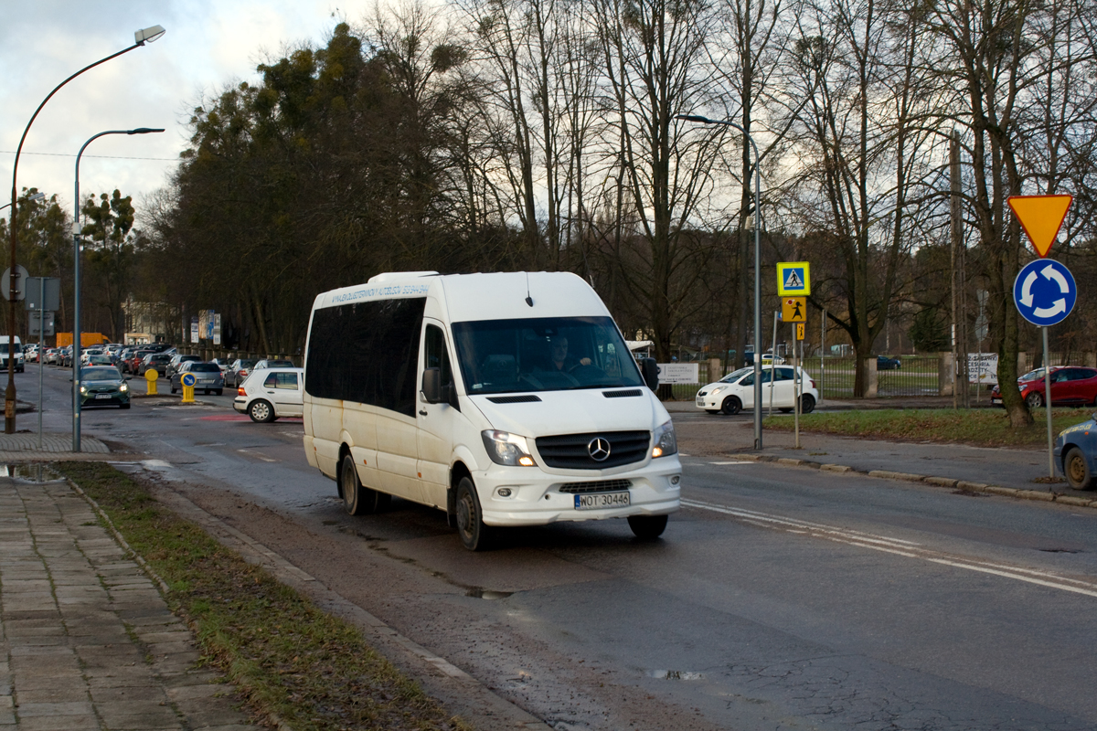 Mercedes-Benz 519 CDI / Mercus MB Sprinter #WOT 30446