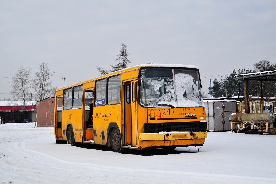 Ikarus 260 #247