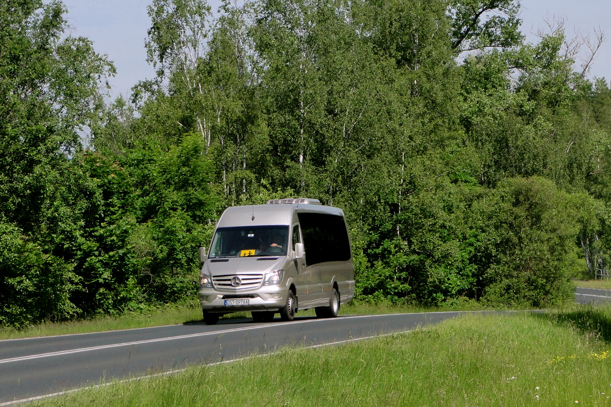 Mercedes-Benz 519 CDI / Bus-Prestige MB Sprinter #DST 097AA