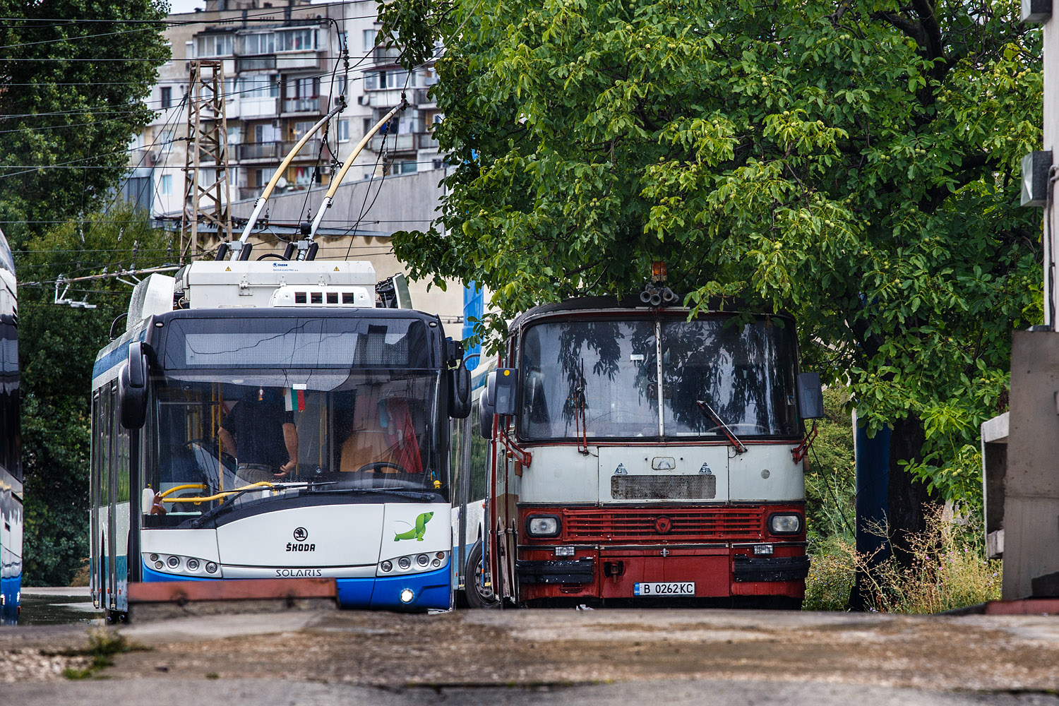 Чавдар 11Г5 #B 0262 KC