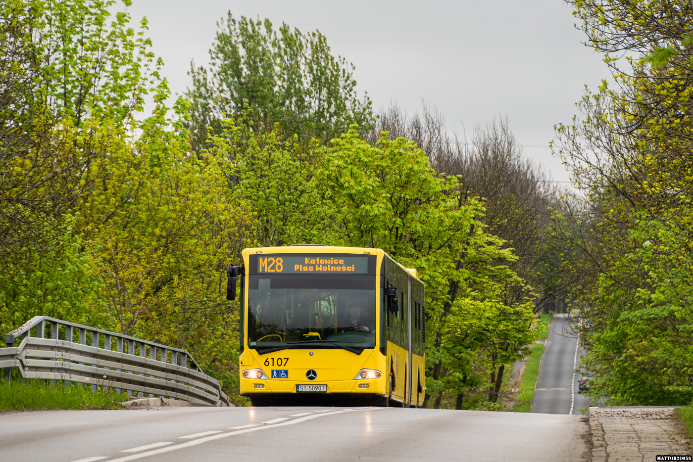 Mercedes-Benz Conecto G #6107