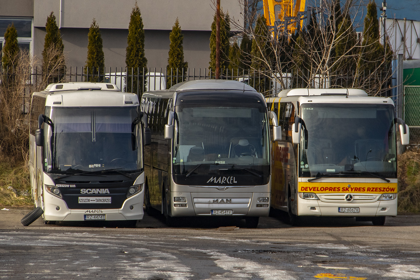 MAN RHC444 Lion`s Coach L #RZ 4541V