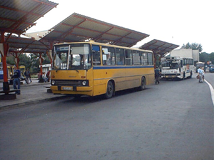 Ikarus 260.02 #SRS A513