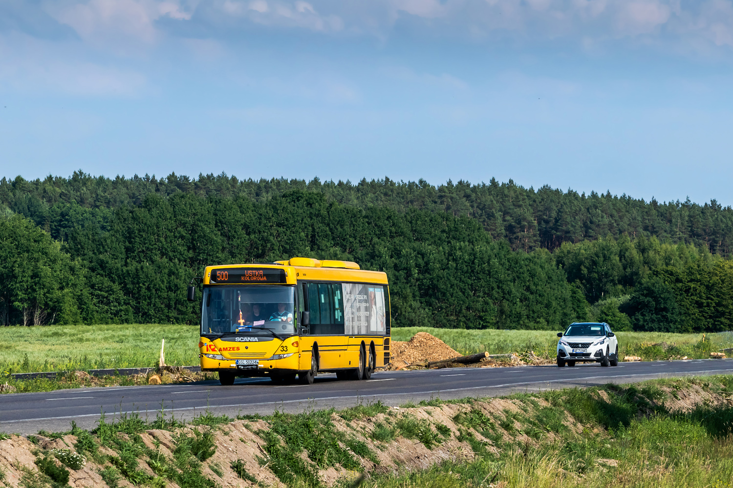 Scania CK310UB 6x2 LB #33