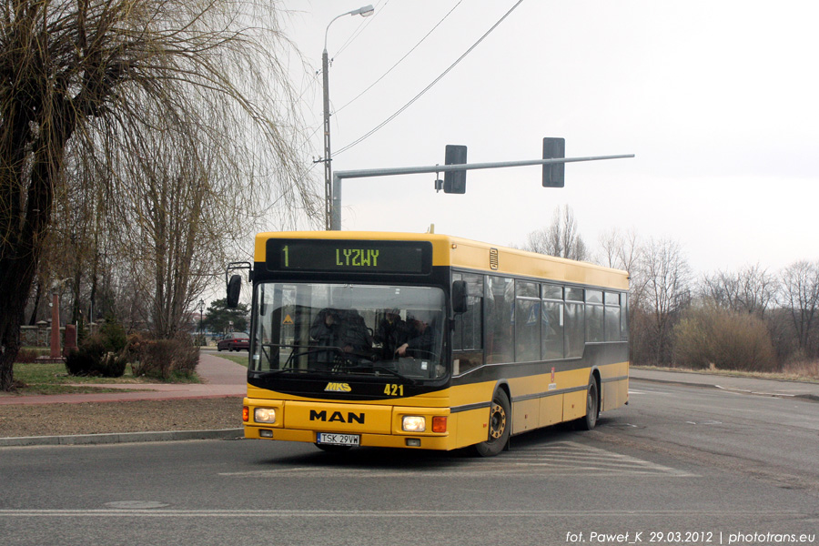 Gräf & Stift NL202 M11 #421