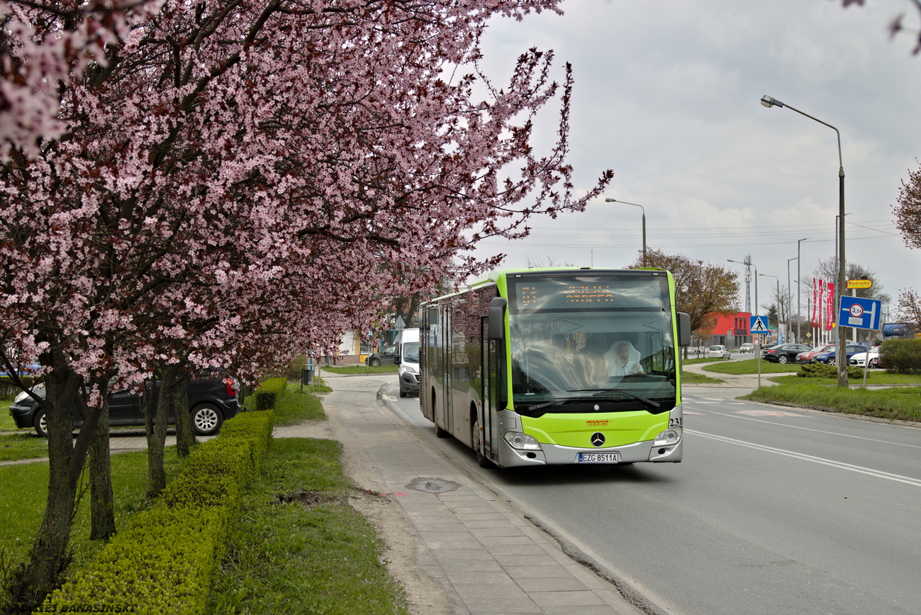 Mercedes-Benz O530 C2 #23158