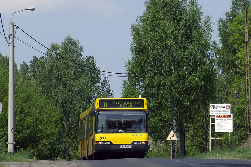 Neoplan N4021 #228