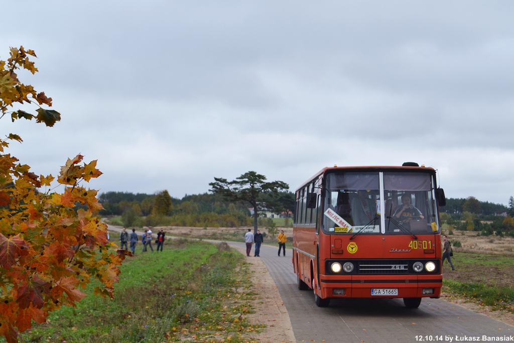 Ikarus 256.74 #G40501