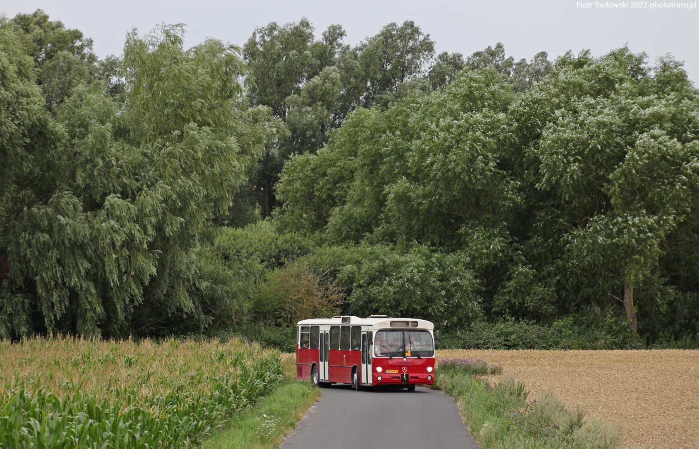 Mercedes-Benz O305 #3772