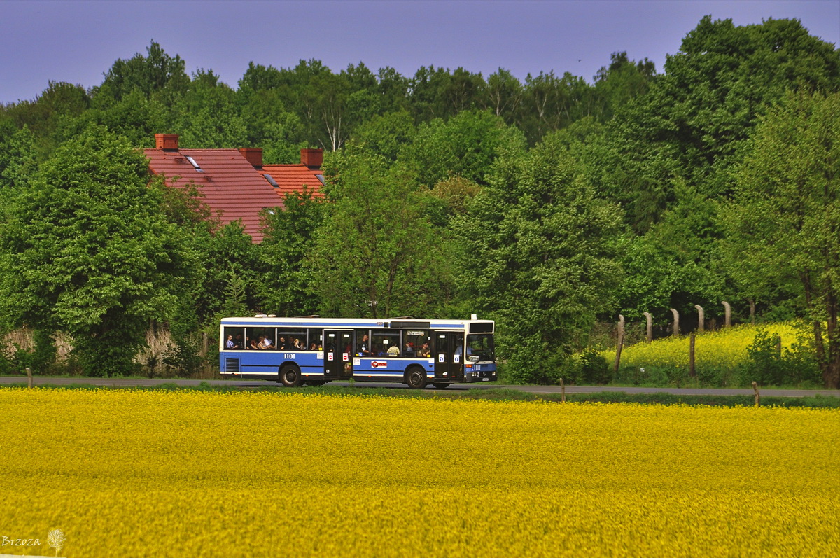 Mercedes-Benz O405N #1101