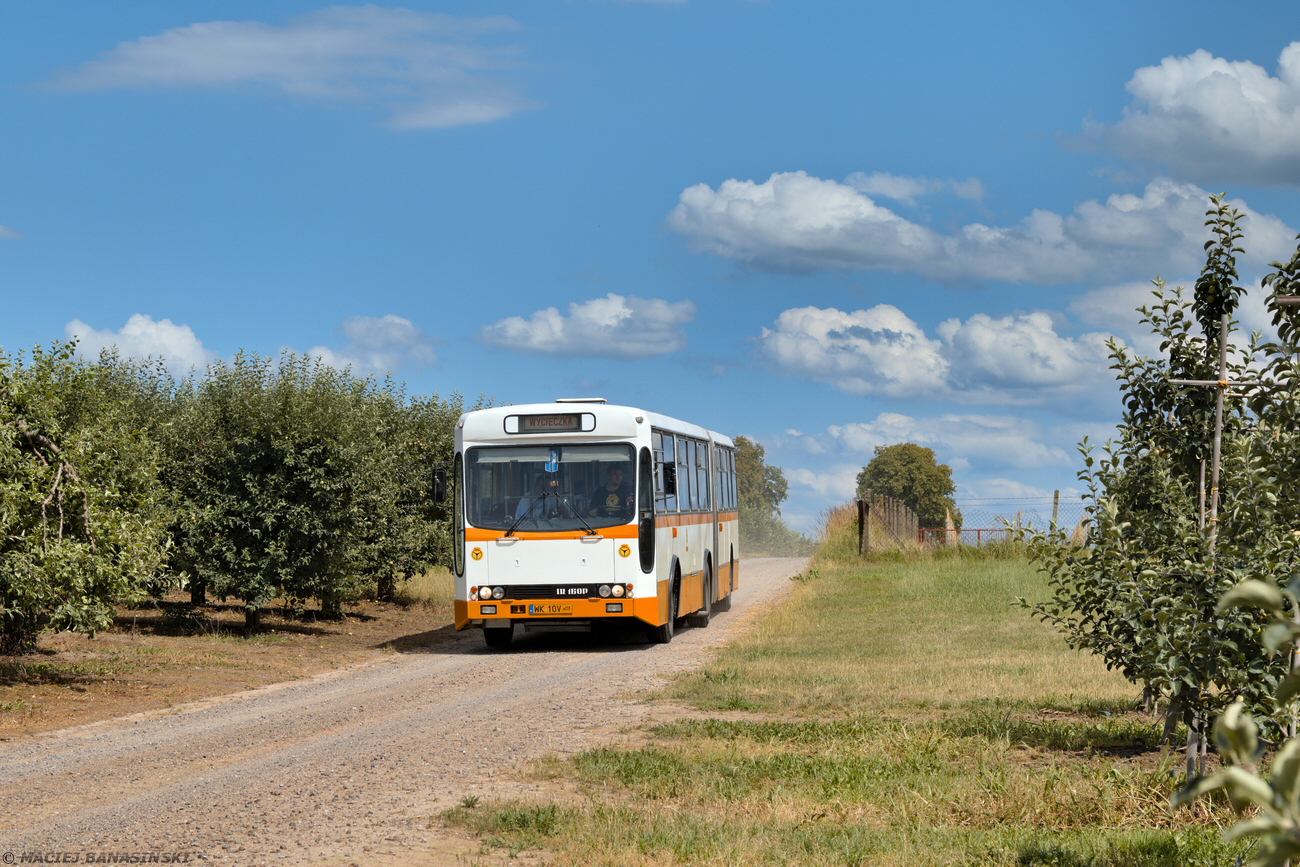 Ikarus-Zemun IK160P #A70504