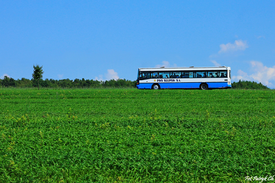 Setra S215 SL #80108