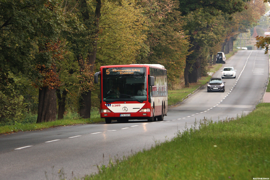 Mercedes-Benz O530L #1309