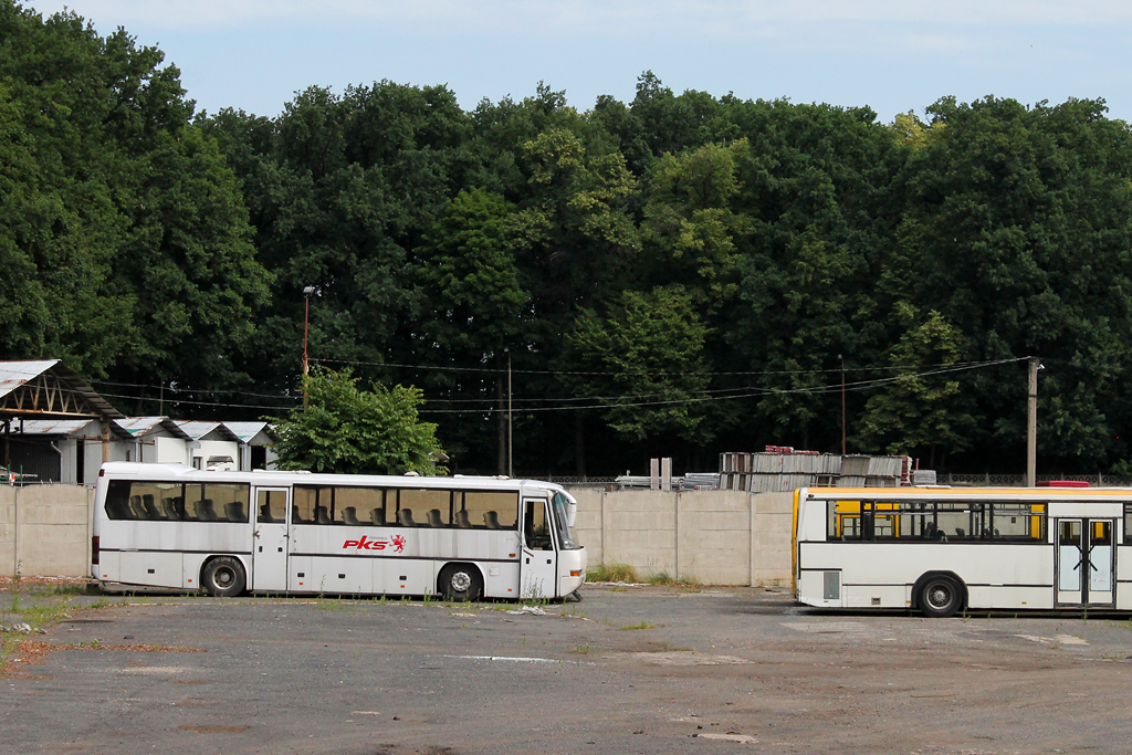 Neoplan N316 K #DSW 36321