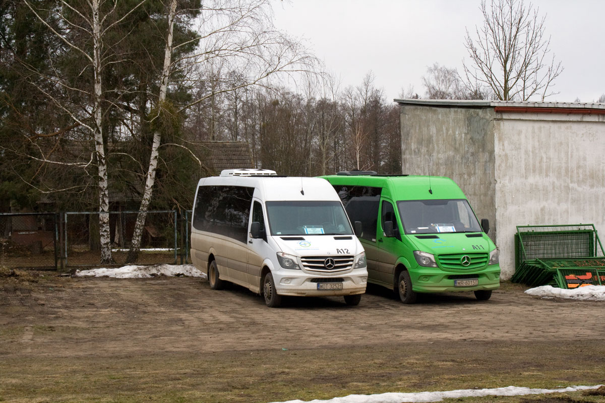 Mercedes-Benz 516 CDI / Mercus MB Sprinter #A12