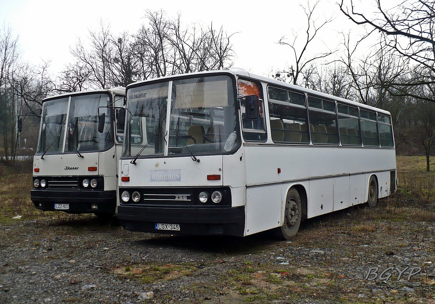 Ikarus 256.50E #LGX-345