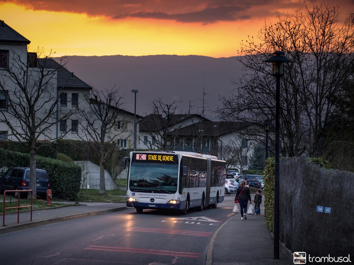 Mercedes-Benz O530G II #175