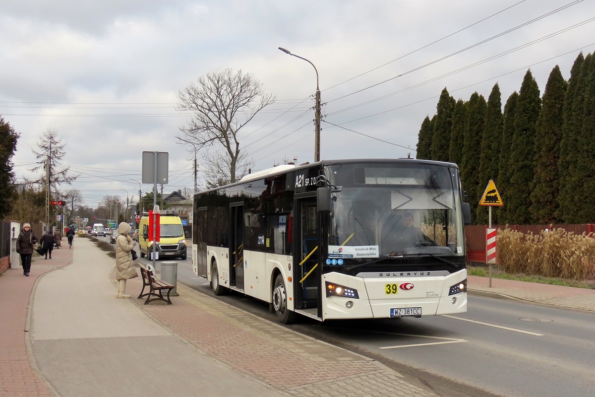 Güleryüz Ecoline 12 #23005