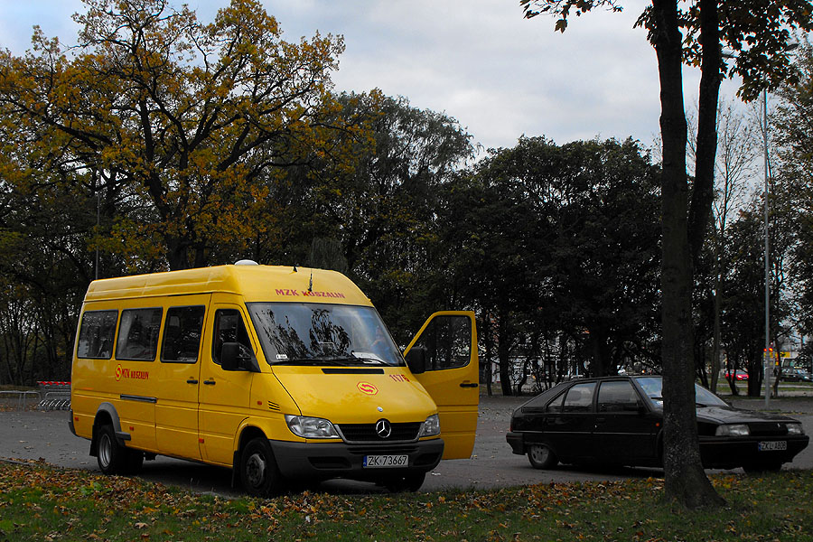 Mercedes-Benz 416 CDI #1176