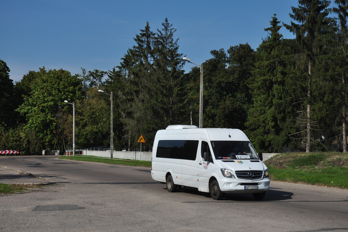 Mercedes-Benz 519 CDI / Eurobus #WP 2665H