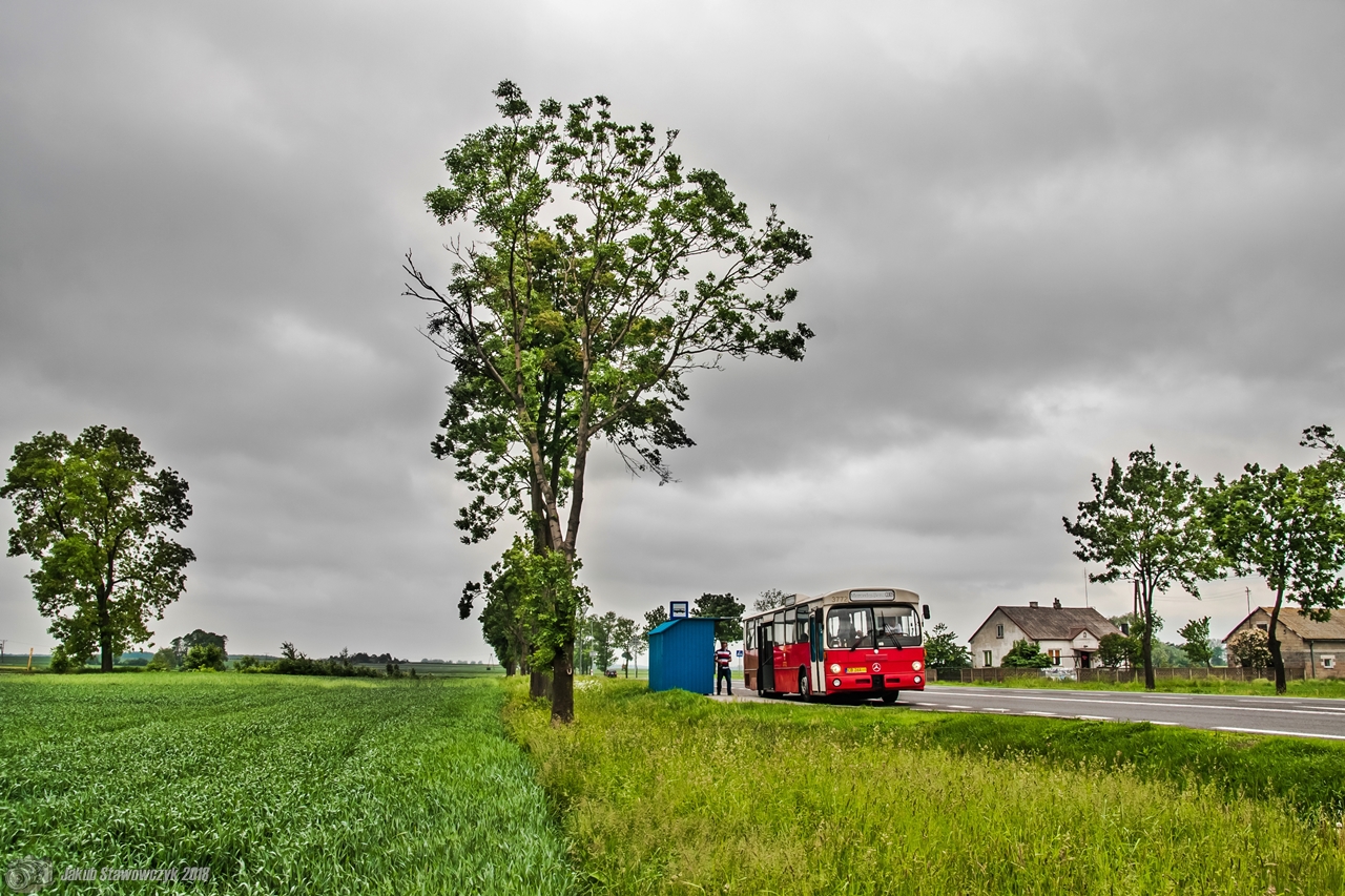 Mercedes-Benz O305 #3772