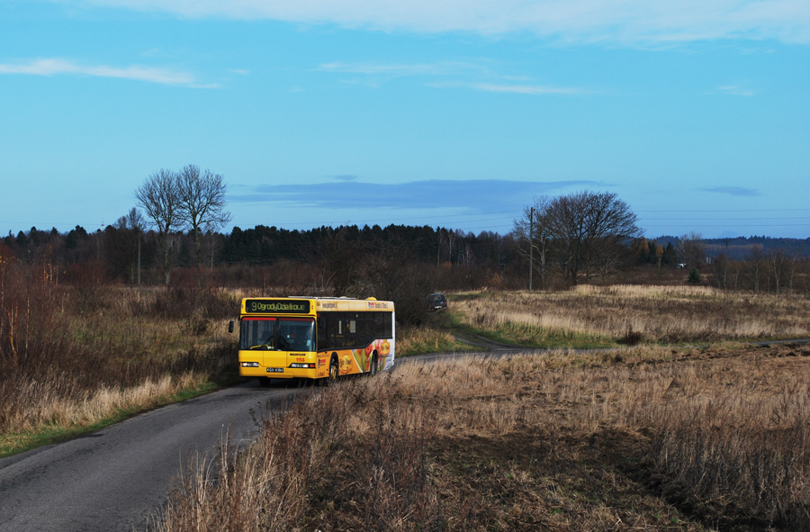 Neoplan N4016 #1156