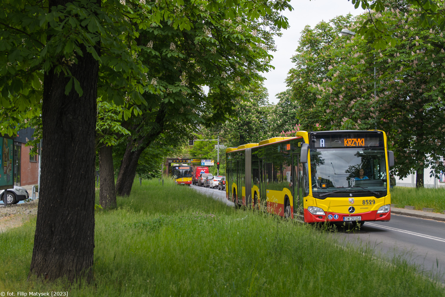 Mercedes-Benz O530G C2 #8529