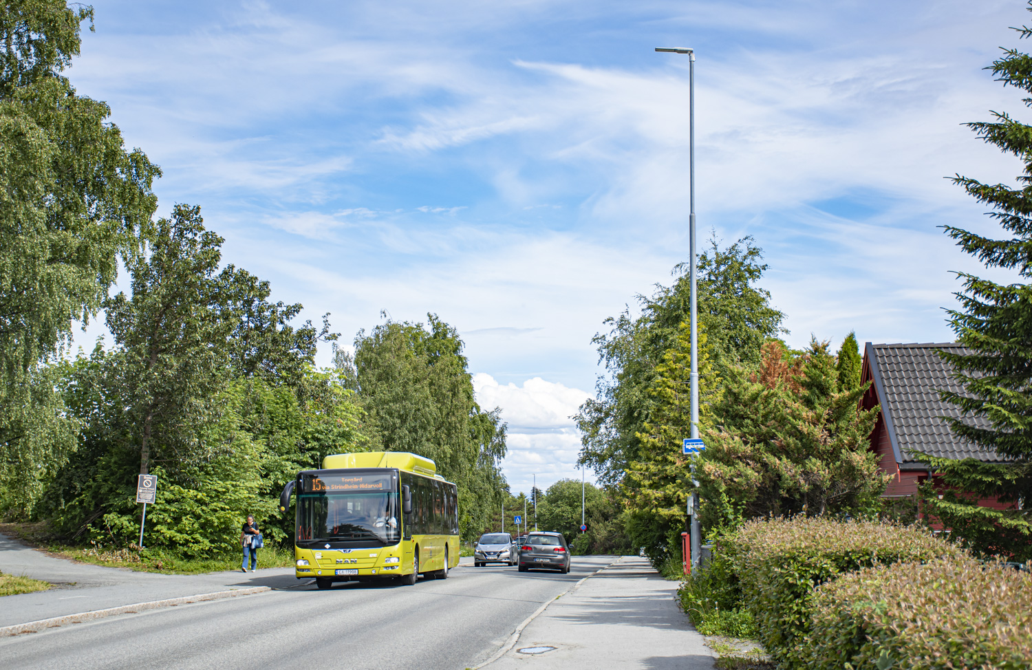 MAN NL313 Lion`s City CNG #8797