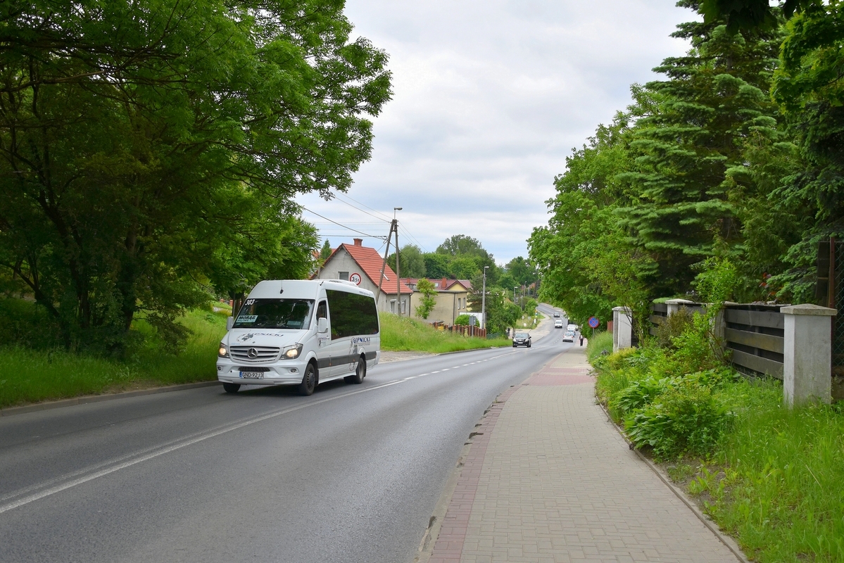 Mercedes-Benz 519 CDI / Mercus MB Sprinter #303