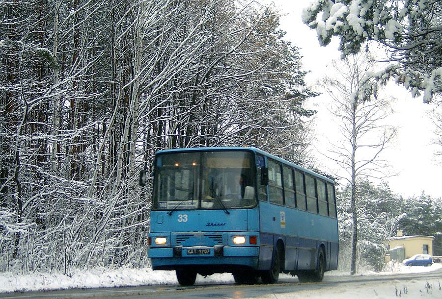 Ikarus 260.04 #33