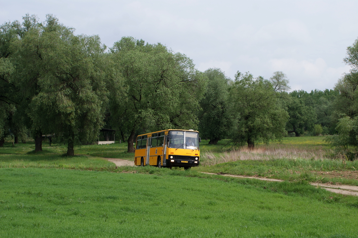 Ikarus 266.25 #BHR-335