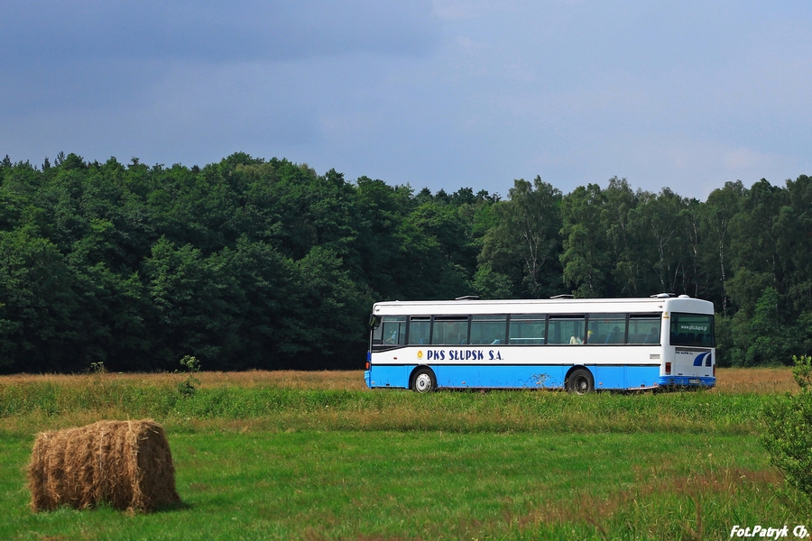 Setra S215 SL #80108