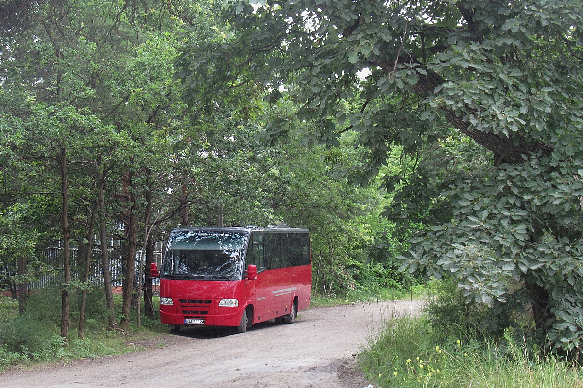 Iveco Daily 65C17 / ProBus Rapido 170 #ERA 38394